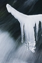 Icicles form around a low branch overhanging the river  beneath a weir on the river Lathkill in the Peak District