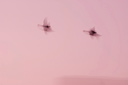 A pair of Canada Geese fly ing down river in the pink light of dawn at Ogmore by Sea