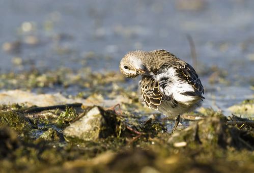 Kenfig NNR Exhibition